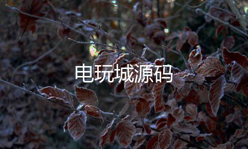 【电玩城源码】抢单系统