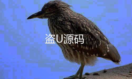 盗U源码-高仿TG-zunyueyuanma.com