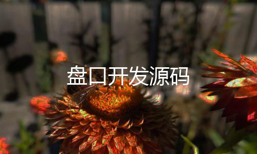 【盘口开发源码】高仿TG