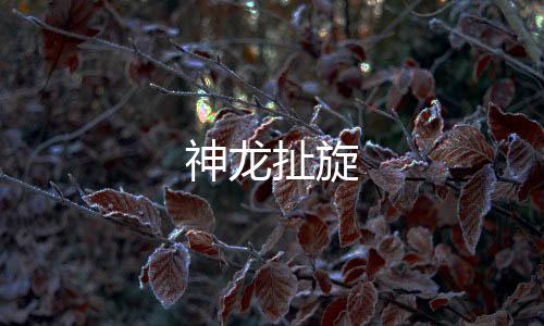 【神龙扯旋】海外投资源码