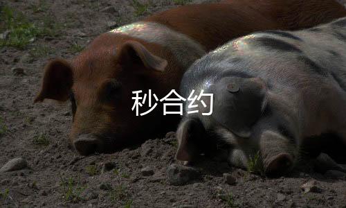 秒合约-电玩城-zunyueyuanma.com