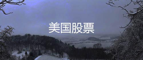 【美国股票】APP刷单