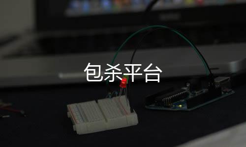 【包杀平台】PG电子源码