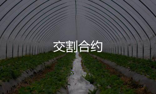交割合约-多国语言交易所源码-zunyueyuanma.com