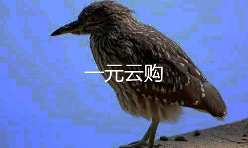 一元云购-币币系统-zunyueyuanma.com