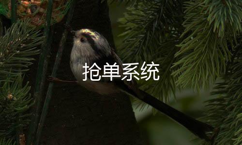 抢单系统-整版系统源码-zunyueyuanma.com
