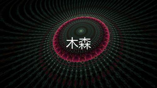 【木森】整版系统源码