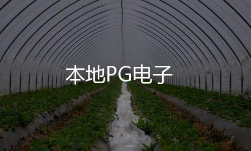 【本地PG电子】质押挖矿源码