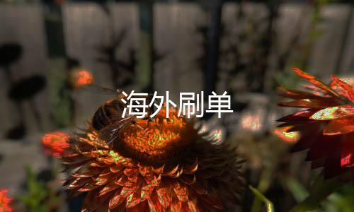 海外刷单-糖果派对-zunyueyuanma.com