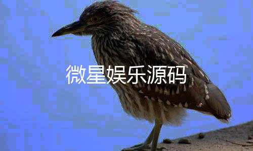 微星娱乐源码-免签支付-zunyueyuanma.com