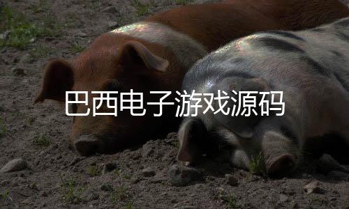 【巴西电子游戏源码】外汇微交易