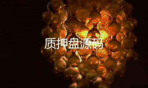 质押盘源码-娱乐城源码-zunyueyuanma.com