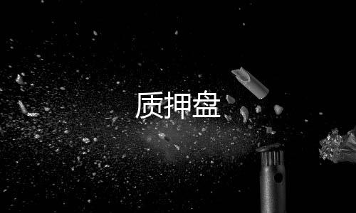 质押盘-整版系统-zunyueyuanma.com