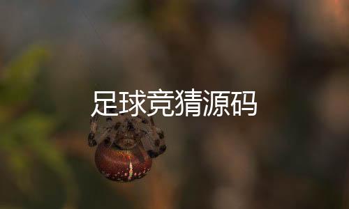 【足球竞猜源码】网狐源码