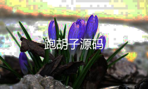 【跑胡子源码】控制系统源码