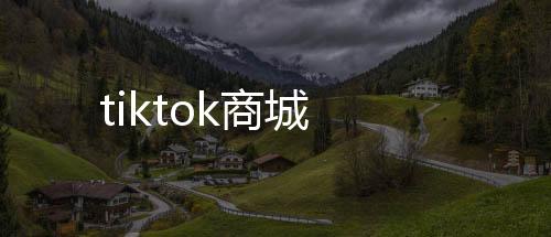 【tiktok商城】期货投资源码